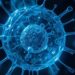 Anti-Aging von innen: Zelluläre Regeneration erklärt